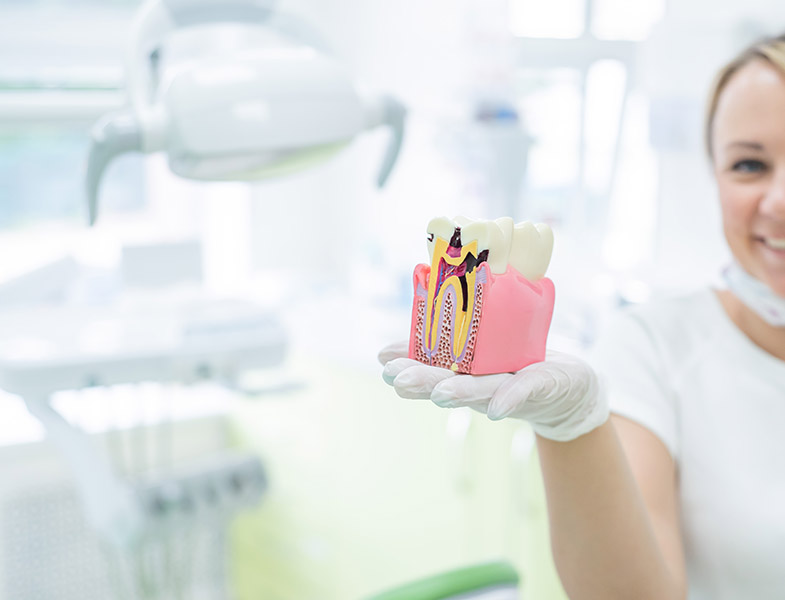 What Is Periodontal Disease See Me Smile Dental Oxnard, CA